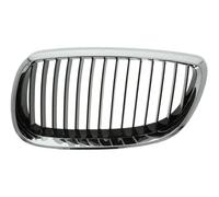 BLIC 6502-07-00629916P Griglia radiatore per BMW