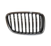 Griglia radiatore anteriore Dx cromo 6502-07-00679922P BLIC per BMW