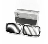 ESEN SKV 66SKV044 Griglia radiatore