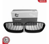 Griglia radiatore bilaterale per BMW 1