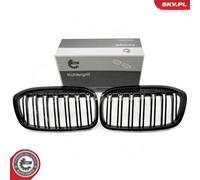 Griglia radiatore bilaterale per BMW 2