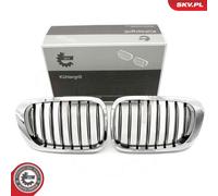 Griglia radiatore bilaterale per BMW 3