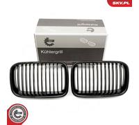 Griglia radiatore bilaterale per BMW 3