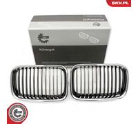 Griglia radiatore bilaterale per BMW 3