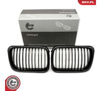 Griglia radiatore bilaterale per BMW 3