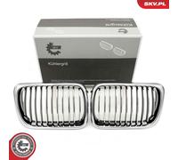 Griglia radiatore bilaterale per BMW 3