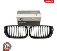 Griglia radiatore bilaterale per BMW 3