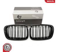 Griglia radiatore bilaterale per BMW 3