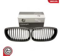 Griglia radiatore bilaterale per BMW 3