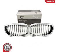 Griglia radiatore bilaterale per BMW 3