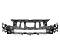 Griglia Radiatore BLIC 5502-00-5562940P Per PEUGEOT