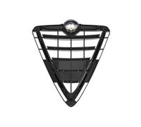 Griglia radiatore BLIC 6502-07-0105991P