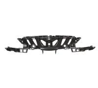 Griglia Radiatore BLIC 6502-07-5519991P Per PEUGEOT