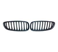 Griglia radiatore Carbon compatibile con BMW Z4 Roadster E89 2009-