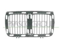 Griglia Radiatore Centrale Per Bmw 5 Series - E34 Dal 1988 Al 1995