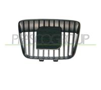 Griglia Radiatore Centrale Per Seat Ibiza - Cordoba Dal 1999 Al 2002 St0312001