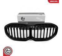 Griglia radiatore centro per BMW 1