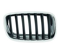 Griglia radiatore cromo argento compatibile con BMW X5 E70 2007-2014