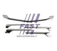 FAST FT91648 Griglia radiatore