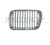 GRIGLIA RADIATORE DESTRA MOD. 09/96 > per BMW