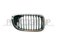 Griglia Radiatore Destra Bmw 3 Series / E46 Coupe' 2001/2003 Lato Dx 51137064316