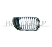 Griglia Radiatore Destra Bmw 3 Series / E46 Dal 2001 Al 2005 Lato Dx 51137030546