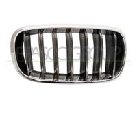 Griglia Radiatore Destra Bmw X5 - F15 Dal 2013 Al 2018 Lato Destro 51137294486