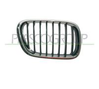 Griglia Radiatore Destra Cromata/Nera BMW X5 / E53 2000/2006 LATO DX 51138402646