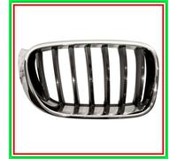 Griglia del radiatore BLIC 6502-07-00939944P destro