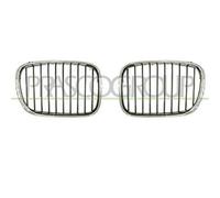 PRASCO BM0452003 Griglia radiatore