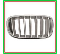 Griglia del radiatore BLIC 6502-07-00969966P destro