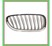 Griglia del radiatore BLIC 6502-07-0089994P destro