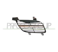 PRASCO DS4222003 Griglia radiatore