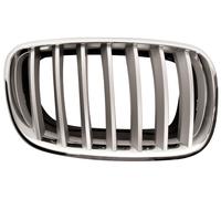 Griglia Radiatore Destra Bmw X5 - E70 Dal 2007 Al 2010 Lato Destro 51137185224