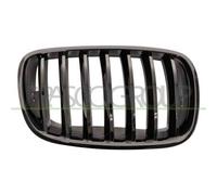 Griglia Radiatore Destra Per Bmw X5 - E70 - M-tech Dal 2007 Al 2010 Lato Destro