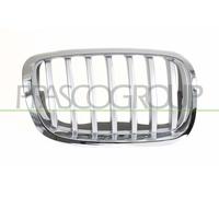 Griglia radiatore Dx per BMW X6