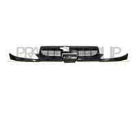 Griglia Radiatore E Sottogriglia Radiatore Con Primer Per PEUGEOT 206 1998-2009