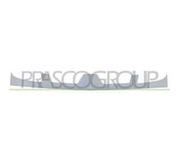 Griglia Radiatore Esterna Renault Kangoo Dal 2003 Al 2007 Rn9172001 7701056406