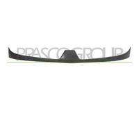 PRASCO RN9172021 Griglia radiatore