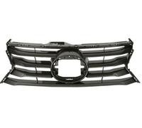 Griglia Radiatore Grigia Per Lexus IS III GSE3_ AVE3_ _E3_