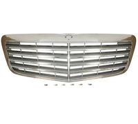 Griglia del radiatore BLIC 5601-00-3528994P