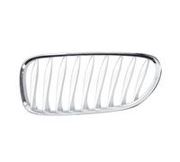 Griglia Radiatore Grigio Per BMW Z4 Roadster E85 E86