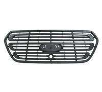 Griglia radiatore grigio scuro 6502-07-2518990P BLIC per FORD TRANSIT Autobus