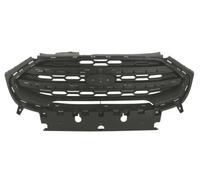 Griglia radiatore grigio scuro 6502-07-2588995P BLIC per FORD ECOSPORT