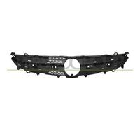 Griglia Radiatore Interna OPEL/VAUXHALL ASTRA J (P10) Dal 2012 Al 2015 13395646