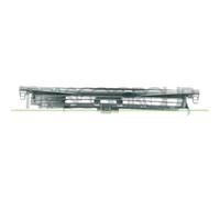 Griglia Radiatore Interna Per Renault Clio Dal 1998 Al 2001 Rn3202001 7700846870