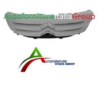 GRIGLIA RADIATORE MASCHERA ANTERIORE DA VERNICIARE PER C3 2005>2009