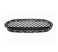 Griglia Radiatore Nera Aperta Ford Fiesta Mk Vii Dal 2017 Al 2021 2091018