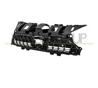 PRASCO TY6502001 Griglia radiatore