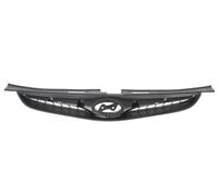 Griglia del radiatore BLIC 6502-07-3135992Q